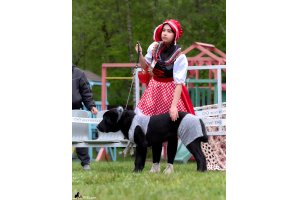 ЖАНУБ ЕЛ ЕНИШ ВАНЕЧКА (ВАНЕЧКА)